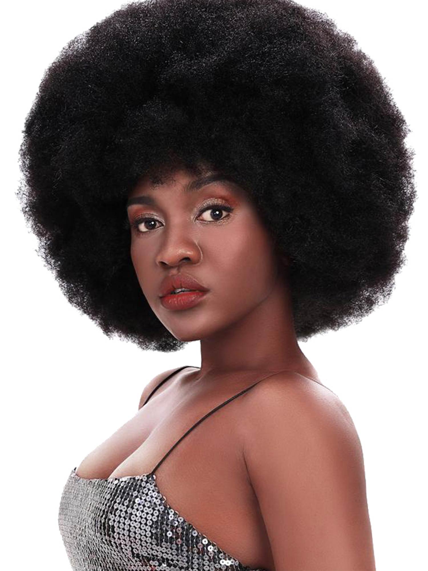 Noble 14 Inch Afro Curl Wig Human Hair Frosted Colors Human Hair Wig