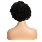 NOBLE LACE ERIN | Human Hair Short Afro Curly Wigs|Lace Front Side Part Wig|9 inch Pixie Cut Natural Black Wigs - Noblehair