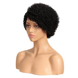 NOBLE LACE ERIN | Human Hair Short Afro Curly Wigs|Lace Front Side Part Wig|9 inch Pixie Cut Natural Black Wigs - Noblehair
