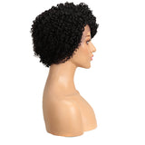 NOBLE LACE ERIN | Human Hair Short Afro Curly Wigs|Lace Front Side Part Wig|9 inch Pixie Cut Natural Black Wigs - Noblehair
