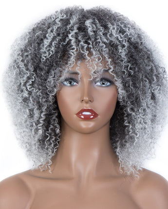 NOBLE Synthetic Afro Kinky Curly Wigs | 13 Inch Bouncy Big Hair Wig | CHICAGO - Noblehair