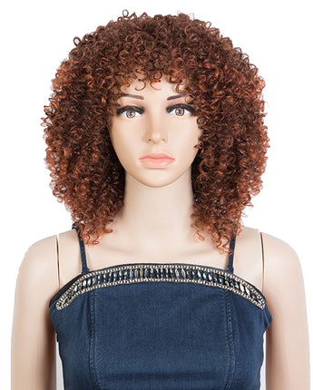 NOBLE Synthetic Afro Curly Wigs with Bangs | 12 Inch Short Kinky Curly Wig for Women | Changeable Shape Wig PINE - Noblehair