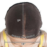 NOBLE 13*7 Synthetic Lace Frontal Wigs | 30 Inch Long Straight Lace Wig Ombre Color Wig | CHERYL - Noblehair