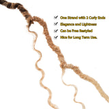 NOBLE Pre-Looped Passion Twist Hair | 20 inch Faux Locs Afro Braiding Hair Extensions with Curly Ends | Ombre Blonde BOHO HIPPLE - Noblehair
