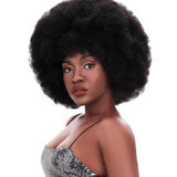 NOBLE WH Afro Curl | Human Hair Short Curly Wigs For Black Women I Frosted Colors - Noblehair