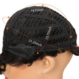 NOBLE Human Hair Wig | 10 Inch Short Curly Pixie | Highlight Color | Amna - Noblehair