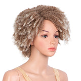 Clearance Sale 9.5 Inch Short Colorful Afro Braided Dreadlocks blonde braids Wig