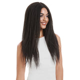 NOBLE Synthetic Lace Front Wigs | 26 Inch Natural Faux Locs Black Wig | Kate - Noblehair