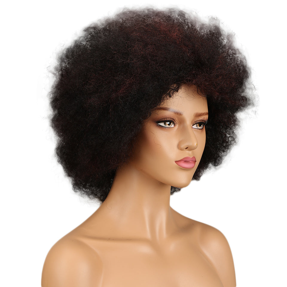 NOBLE WH Afro Curl | Human Hair Short Curly Wigs For Black Women I Frosted Colors - Noblehair