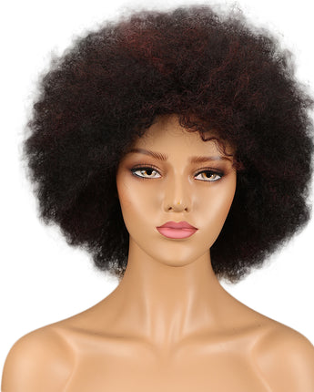 NOBLE WH Afro Curl | Human Hair Short Curly Wigs For Black Women I Frosted Colors - Noblehair