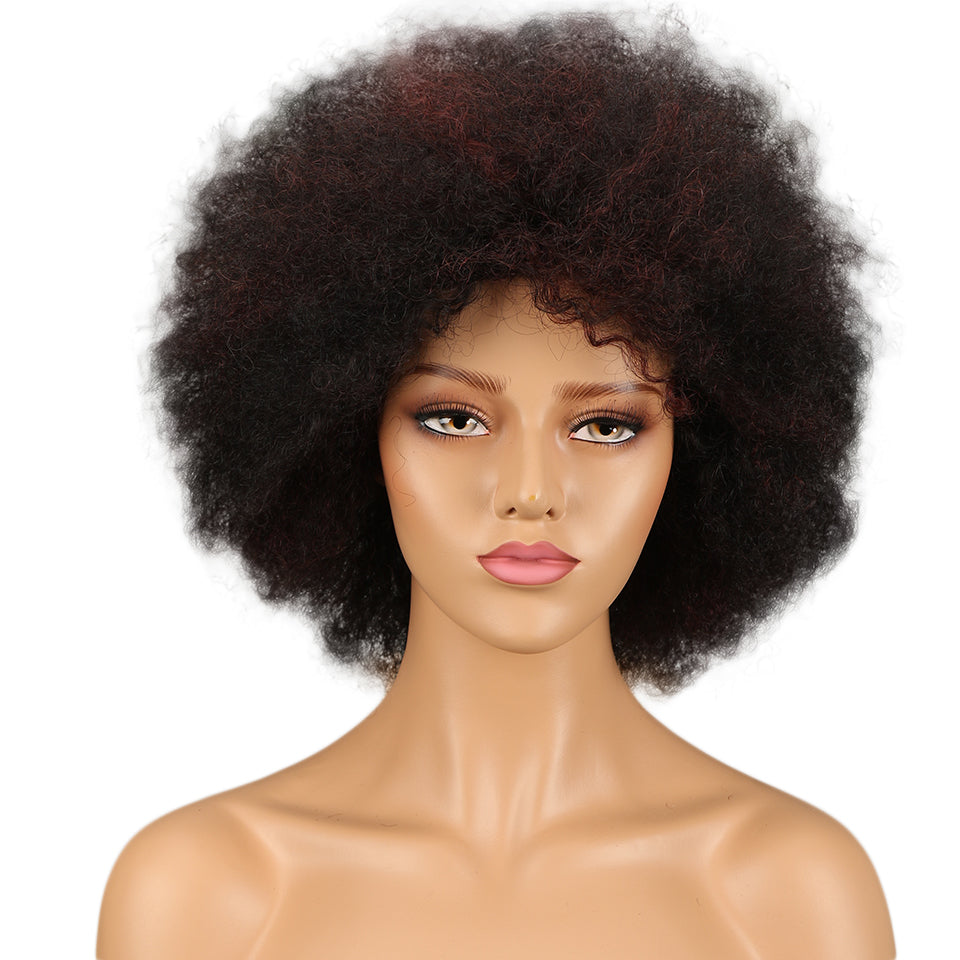 NOBLE WH Afro Curl | Human Hair Short Curly Wigs For Black Women I Frosted Colors - Noblehair
