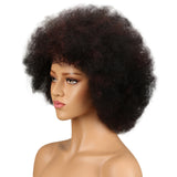 NOBLE WH Afro Curl | Human Hair Short Curly Wigs For Black Women I Frosted Colors - Noblehair