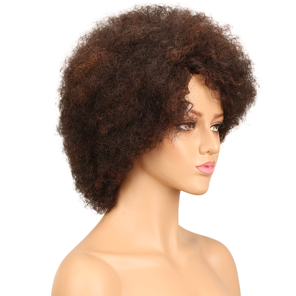 NOBLE WH Afro Curl | Human Hair Short Curly Wigs For Black Women I Frosted Colors - Noblehair