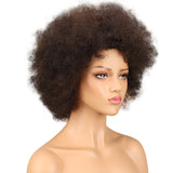 NOBLE WH Afro Curl | Human Hair Short Curly Wigs For Black Women I Frosted Colors - Noblehair