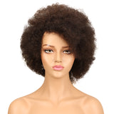 NOBLE WH Afro Curl | Human Hair Short Curly Wigs For Black Women I Frosted Colors - Noblehair