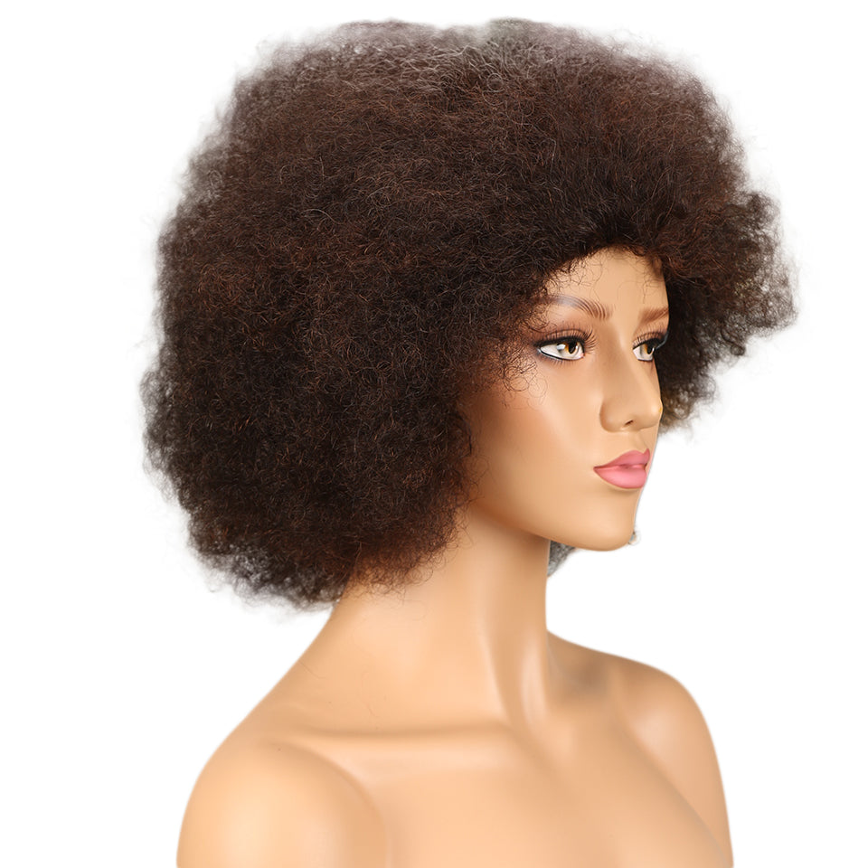 NOBLE WH Afro Curl | Human Hair Short Curly Wigs For Black Women I Frosted Colors - Noblehair