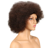 NOBLE WH Afro Curl | Human Hair Short Curly Wigs For Black Women I Frosted Colors - Noblehair