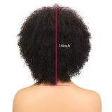 NOBLE WH Afro Curl | Human Hair Short Curly Wigs For Black Women I Frosted Colors - Noblehair