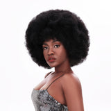 NOBLE Synthetic Afro Kinky Curl Wigs for Women | 11 Inch Short Afro Curly Wig | 3 Colors Available PALMS - Noblehair